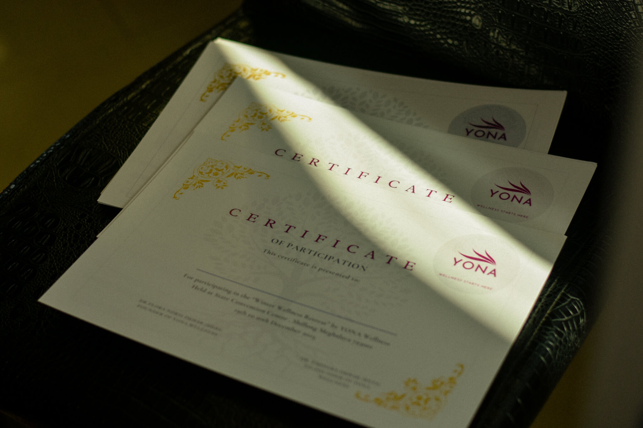 Two YONA Certificates of Participation stacked on a dark surface, illuminated by a beam of natural light