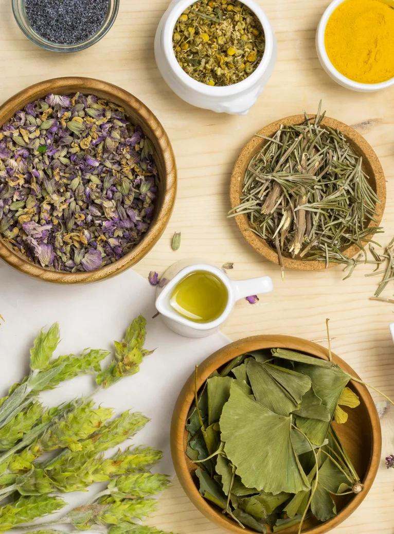 Dried herbs, rosemary, turmeric, ginkgo leaves and infused oil laid out in bowls