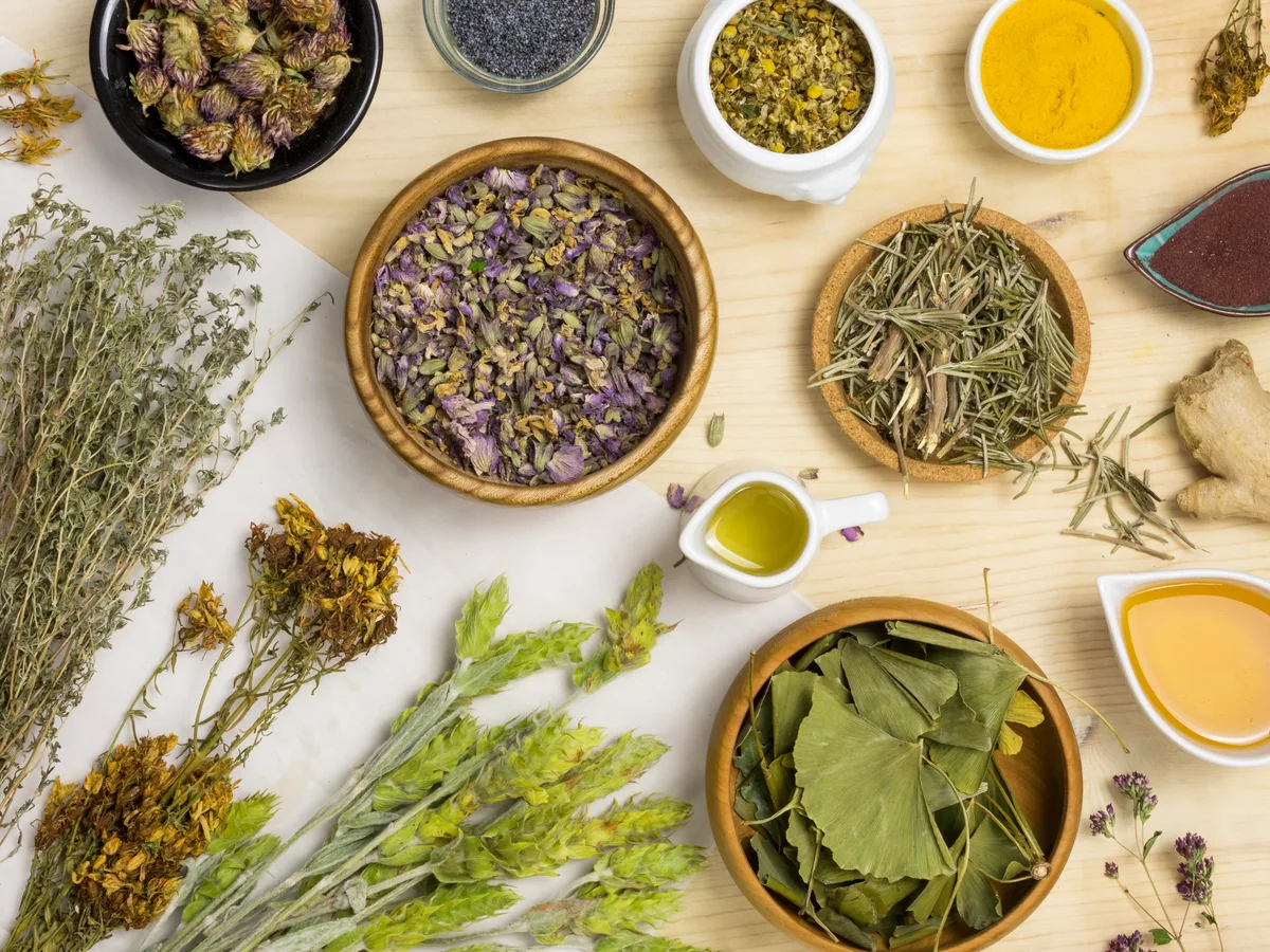 Dried herbs, rosemary, turmeric, ginkgo leaves and infused oil laid out in bowls